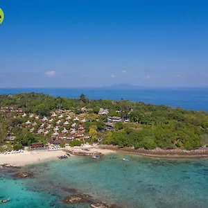 The 3* Phi Phi
